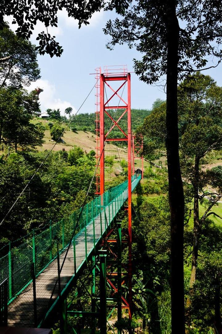 Broga dla mężczyzn