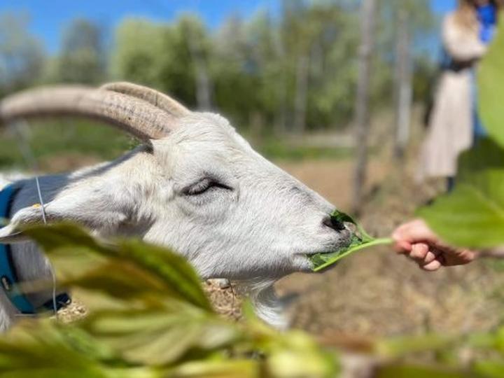 Ogród rodzinne chwile