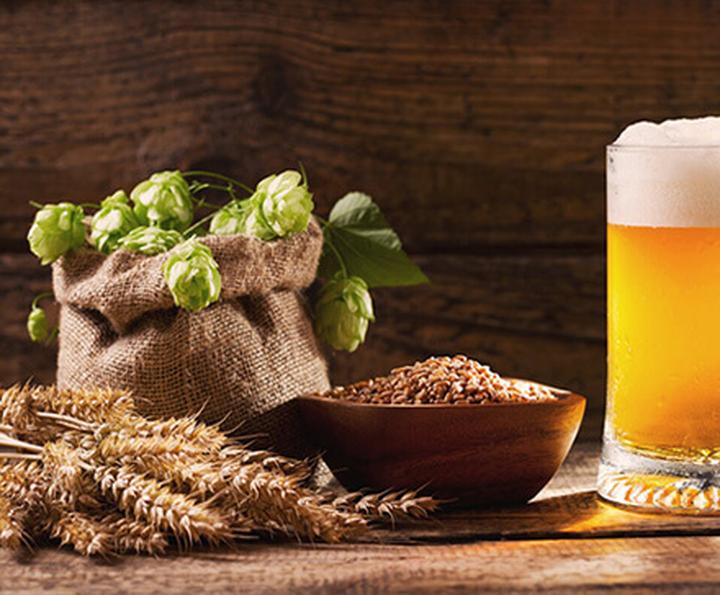 Rola chmielu w piwie