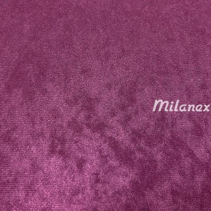 Bakłażan roślina ozdobna