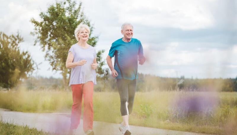 Aktywności na świeżym powietrzu