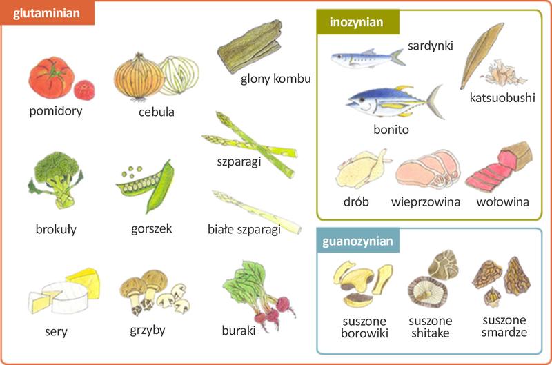 Jak działają wzmacniacze smaku