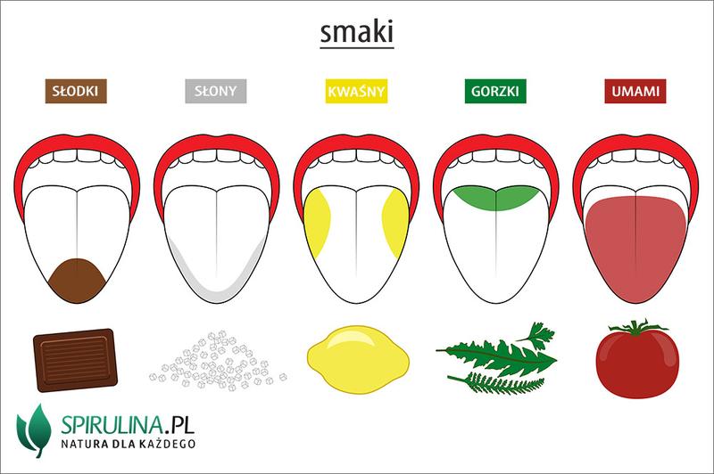 Wzmacniacze smaku w żywności